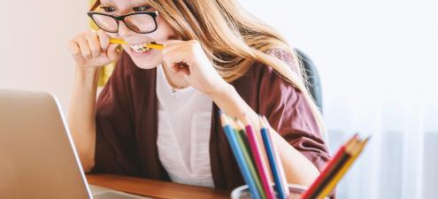 Bachelor Young Entrepreneur and Bachelor of International Business Studies